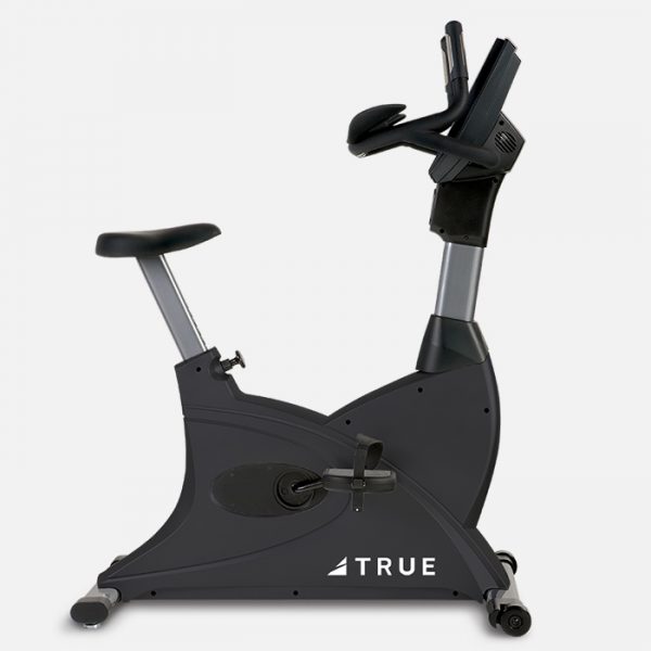 TRUE CS200 Commercial Upright Bike